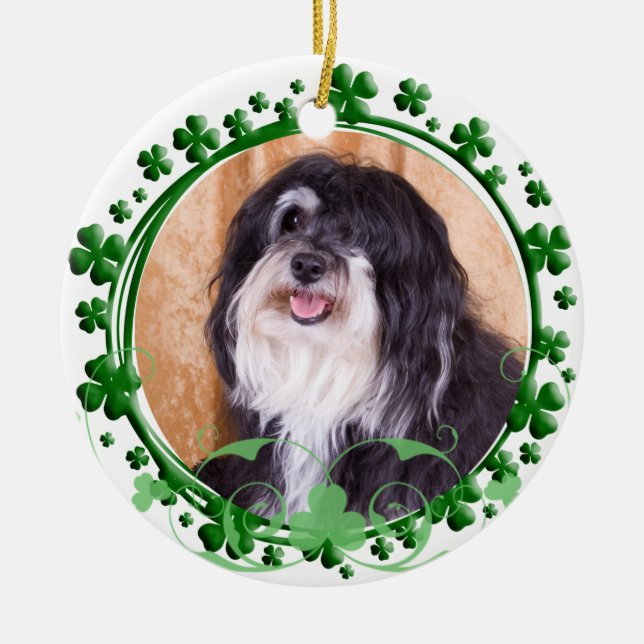 Havanese St. Patrick's Day Ornament (Front)