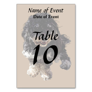 Havanese Table Number