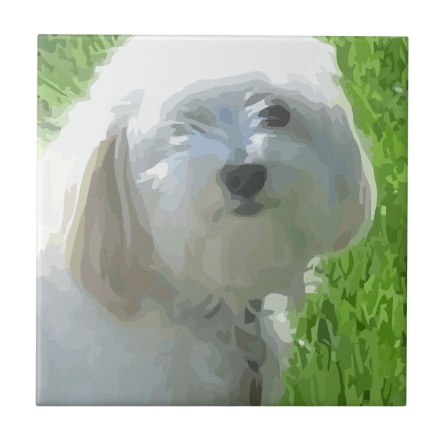 Havanese Tile (Front)