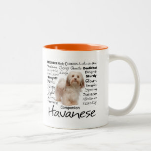 Havanese Traits Mug