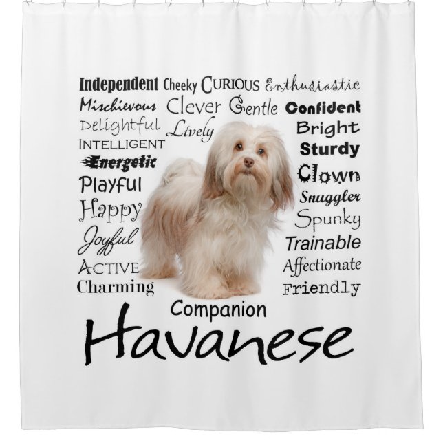 Havanese Traits Shower Curtain (Front)