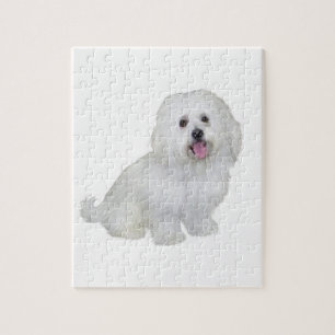 Havanese (white) jigsaw puzzle