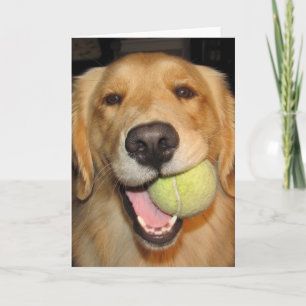 Have a Ball! Card