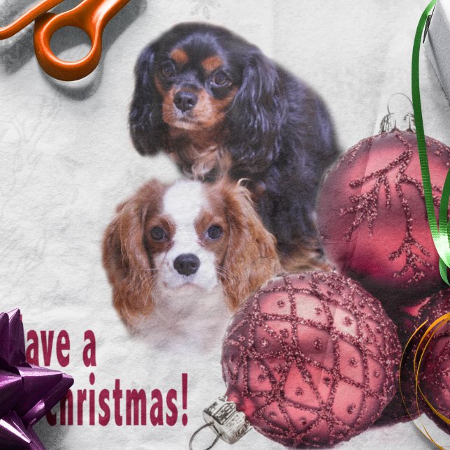 Have A Cavalier Christmas! CKCS Tissues Paper (Creator Uploaded)