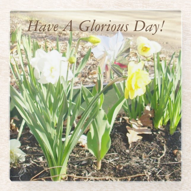 Have A Glorious Day Glass Coaster (Front)