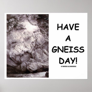 Have A Gneiss Day!  Geology Gneiss Rock Poster