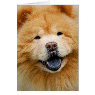 Have A Happy