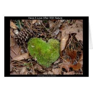 Have a Love Affair with Nature Moss Heart Gifts