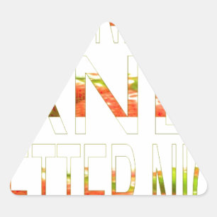 Have a Nice Day and a Better Night Art Print Triangle Sticker