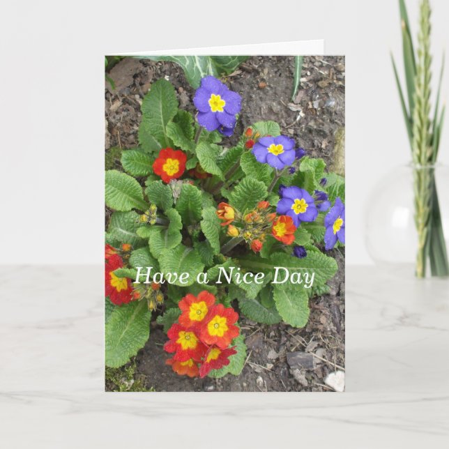 Have a Nice Day-Mixed Flower Bed Card (Front)