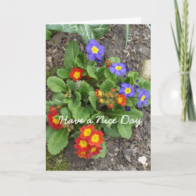 Have a Nice Day-mixed flower bed Card (Front)
