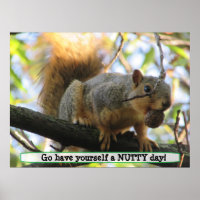 Have a Nutty Day, Cute Squirrel Humour Poster