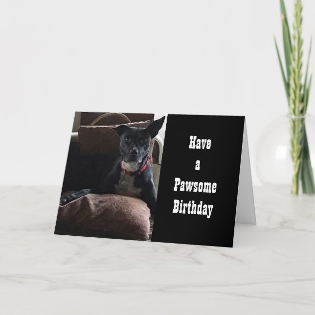 HAVE A **PAWSOME  BIRTHDAY** CARD (Front)
