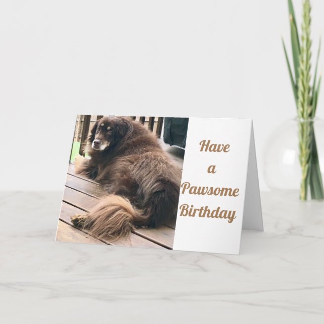 HAVE A **PAWSOME  BIRTHDAY** CARD (Front)