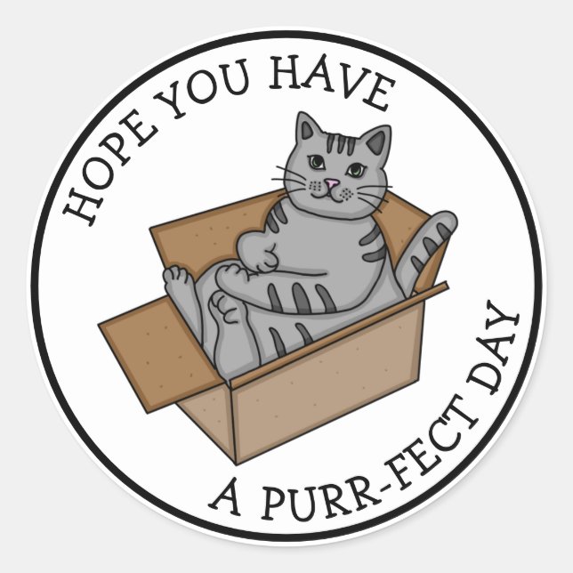 Have a Purr-fect Day | Funny Cat in a Box Classic Round Sticker (Front)