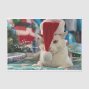 Have a Purrfect Catsmas Funny Christmas Cat Tissue Paper