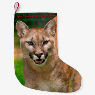 Have a Purrrfect Christmas Small Christmas Stocking