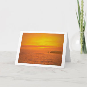 Have A Trump-Free Day! Card