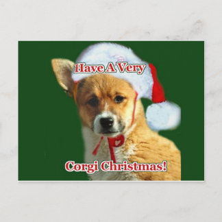 Have a Very Corgi Christmas- Mercy Holiday Postcard