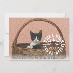 Have a warm and purrfect holiday cat Christmas Card