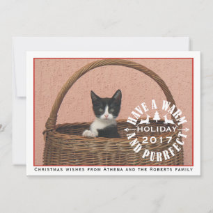 Have a warm and purrfect holiday red pet Christmas Card