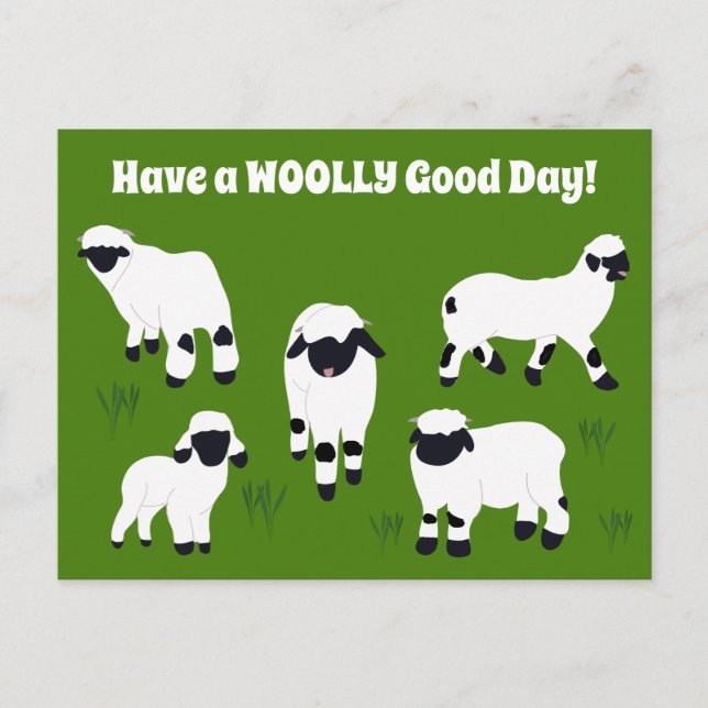 Have a WOOLLY Good Day Valais Blacknose Sheep Postcard (Front)