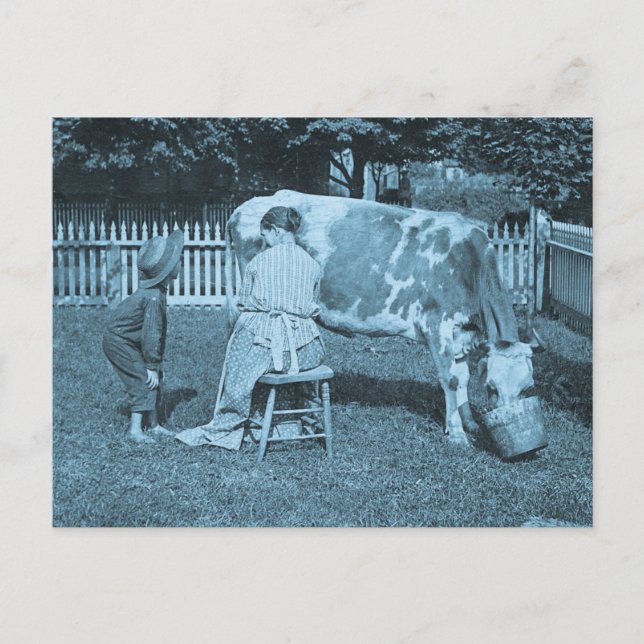 Have Some! Vintage Stereoview Postcard (Front)