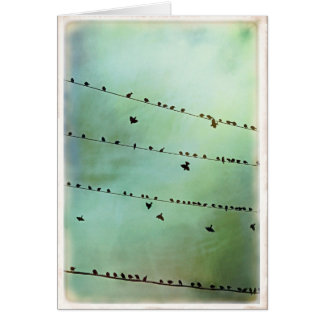 Have you heard? - Blank