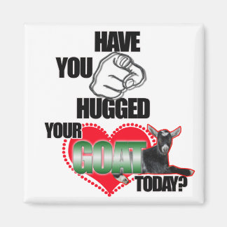 HAVE YOU HUGGED YOUR GOAT TODAY? MAGNET
