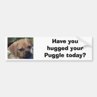 Have you hugged your Puggle today?