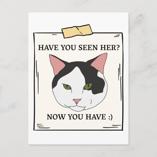 Have You Seen Cat Now You Have Pet Wanted Postcard (Front)