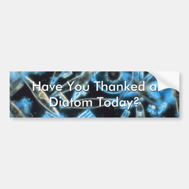 Have You Thanked a Diatom? Bumper Sticker (Front)