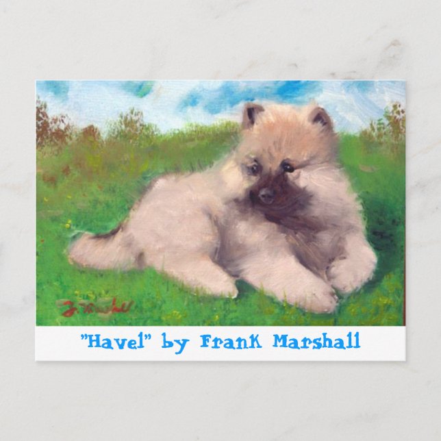 Havel by Frank Marshall Postcard (Front)
