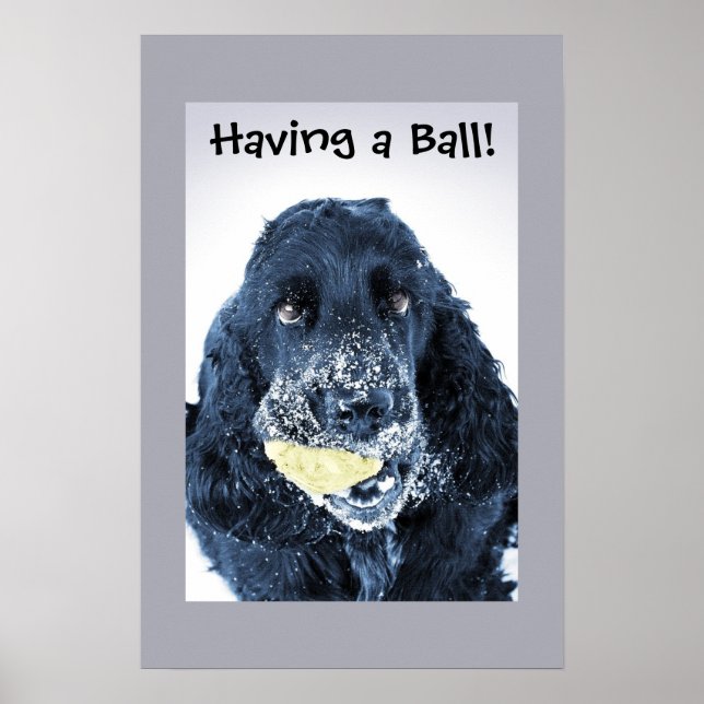 Having a Ball! Poster (Front)