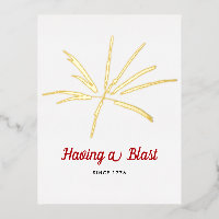 Having a Blast Silver Fireworks July 4th Party