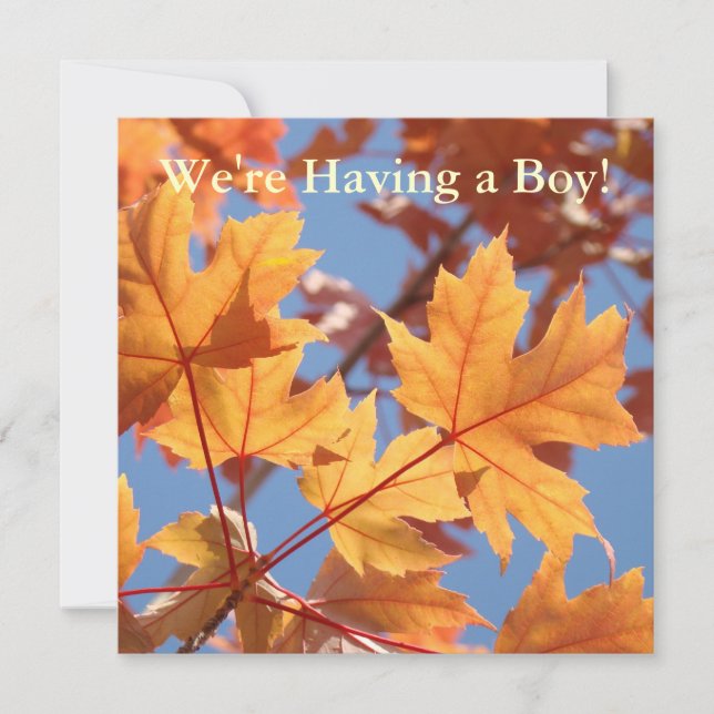 Having a Boy! invitations Baby Shower Autumn Leave (Front)