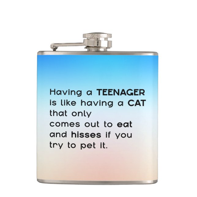 Having a Teenager...  Hip Flask (Front)