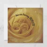 Having Triplets Yellow Rose Baby Announcement