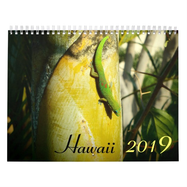 Hawaii 2019 scenic destinations calendar (Cover)