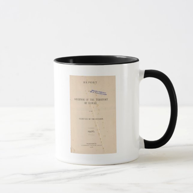 Hawaii 4 mug (Right)