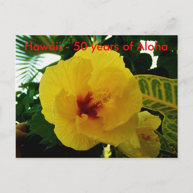 Hawaii 50th State Statehood Postcard (Front)