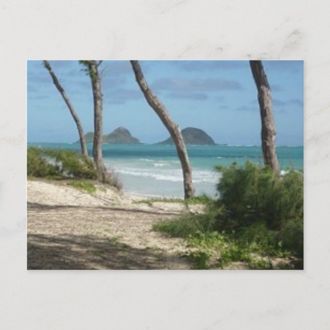 HAWAII ALOHA COLLECTION POSTCARD (Front)