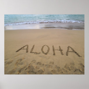 Hawaii Aloha Poster