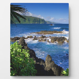 Hawaii Beach Scenery Plaque
