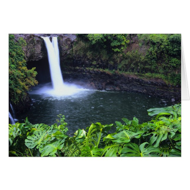 Hawaii, Big Island, Hilo, Rainbow Falls, Lush (Front Horizontal)