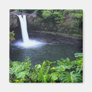 Hawaii, Big Island, Hilo, Rainbow Falls, Lush Magnet