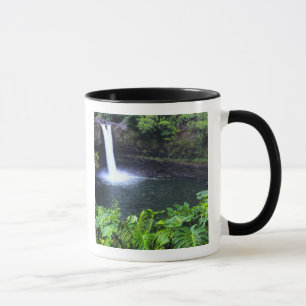 Hawaii, Big Island, Hilo, Rainbow Falls, Lush Mug