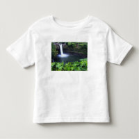 Hawaii, Big Island, Hilo, Rainbow Falls, Lush