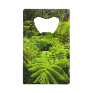 Hawaii, Big Island, Lush tropical greenery in