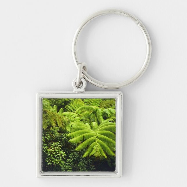 Hawaii, Big Island, Lush tropical greenery in 2 Key Ring (Front)
